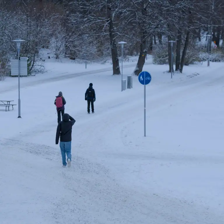 Snow in Sundbyberg