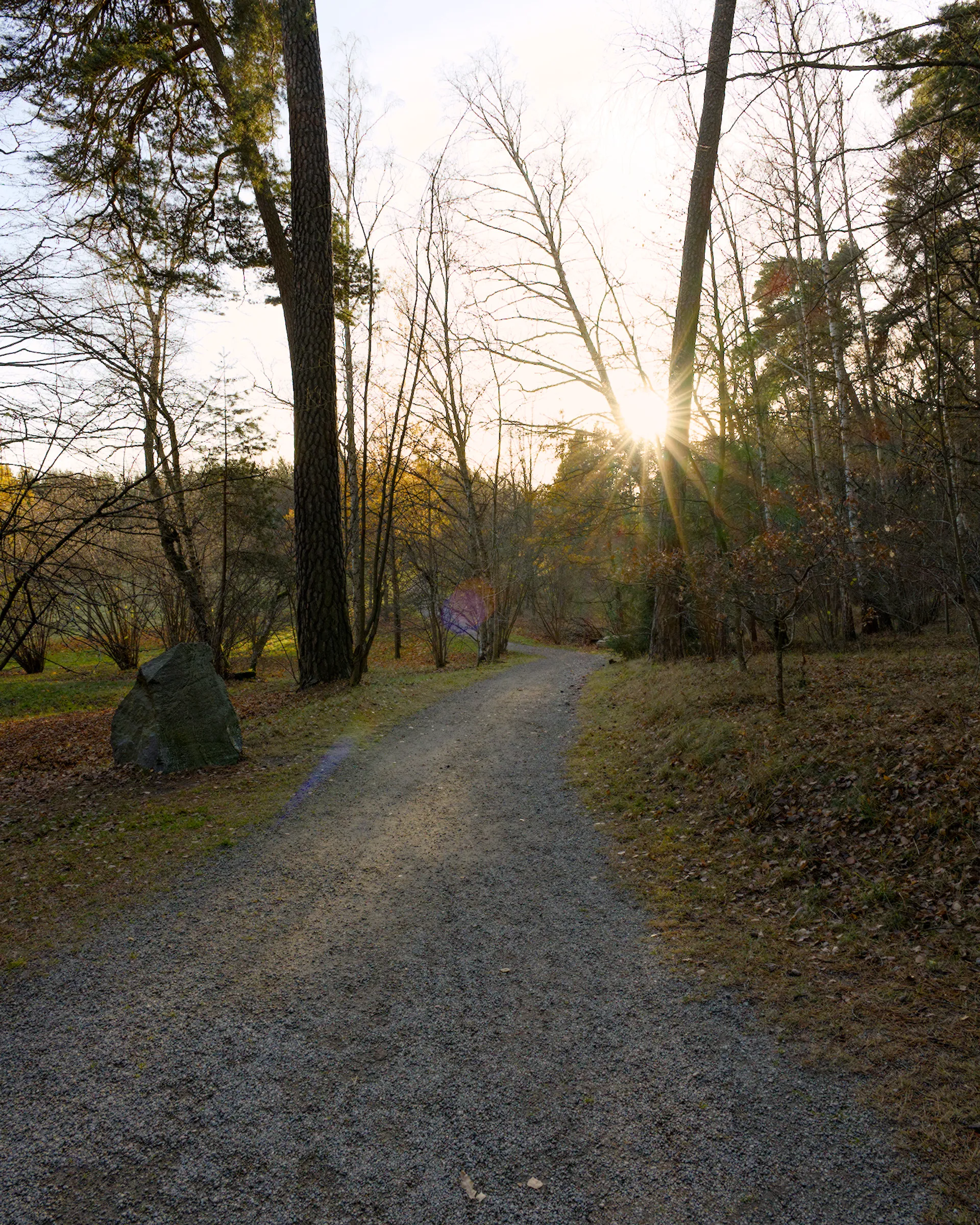 Afternoon walk in Hagaparken