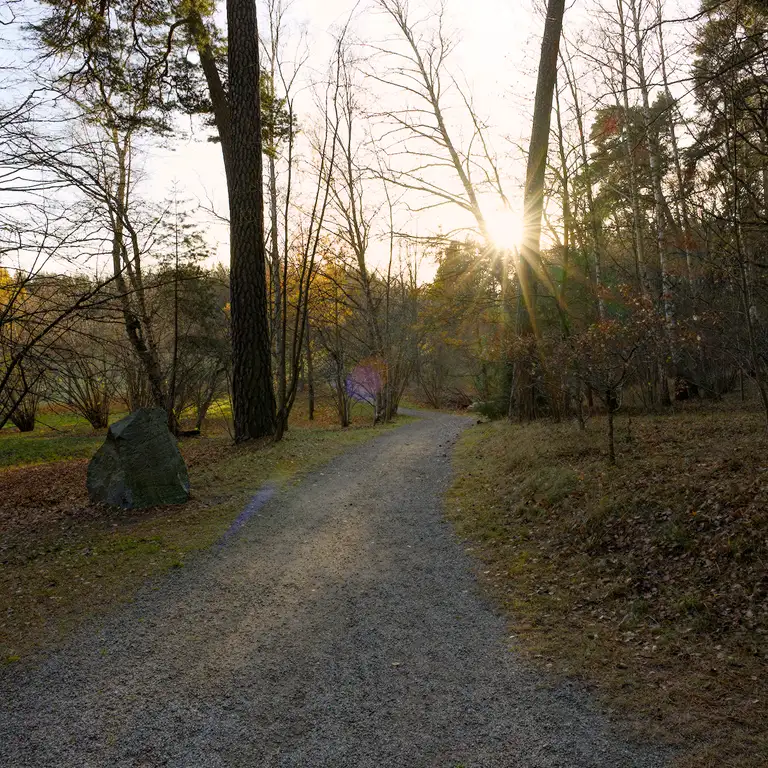 Afternoon walk in Hagaparken