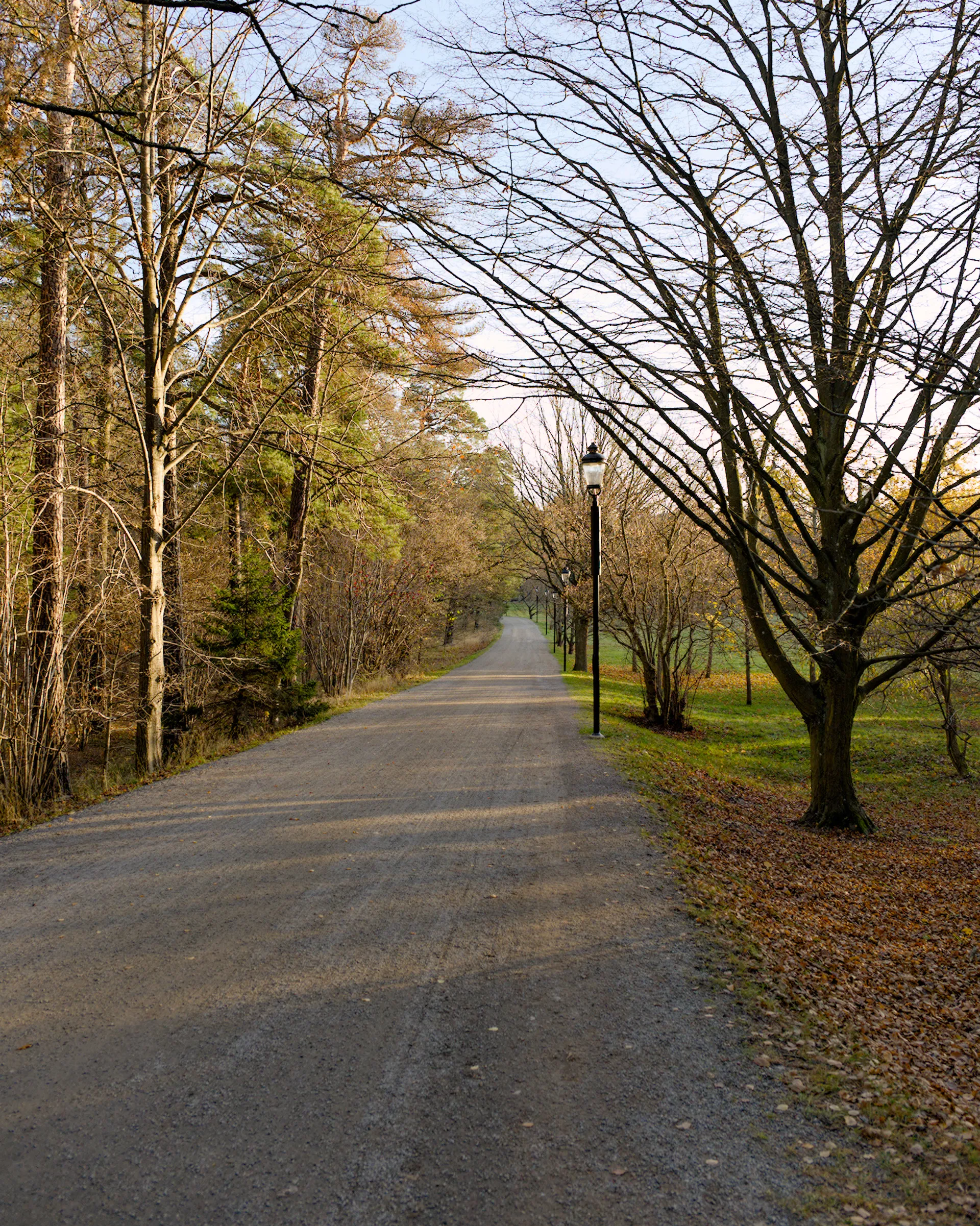 Afternoon walk in Hagaparken