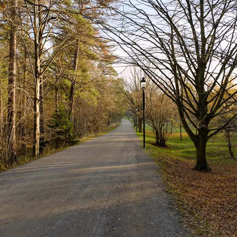 Afternoon walk in Hagaparken