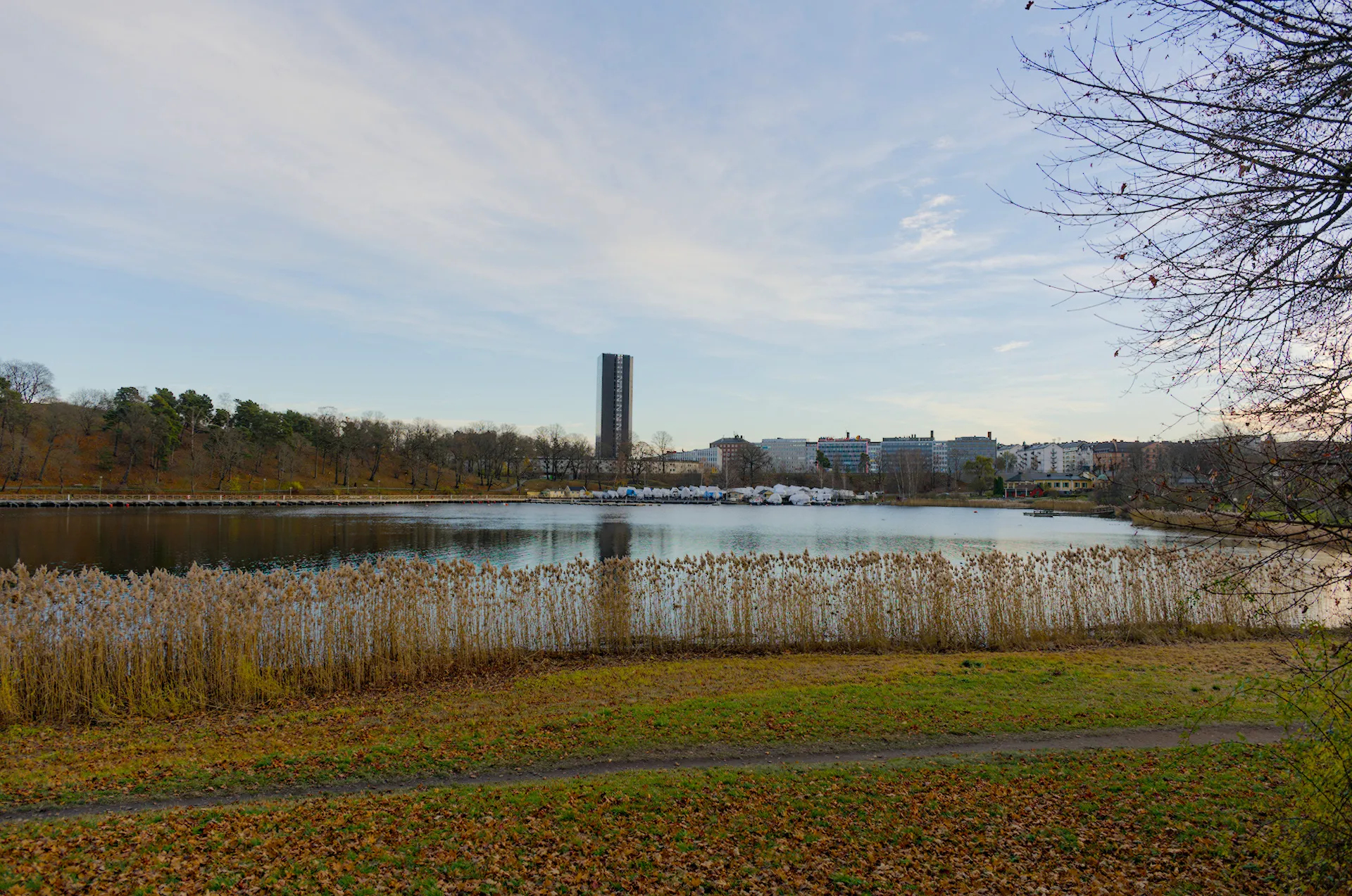 Afternoon walk in Hagaparken