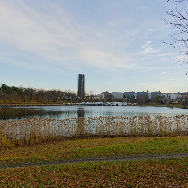 Afternoon walk in Hagaparken