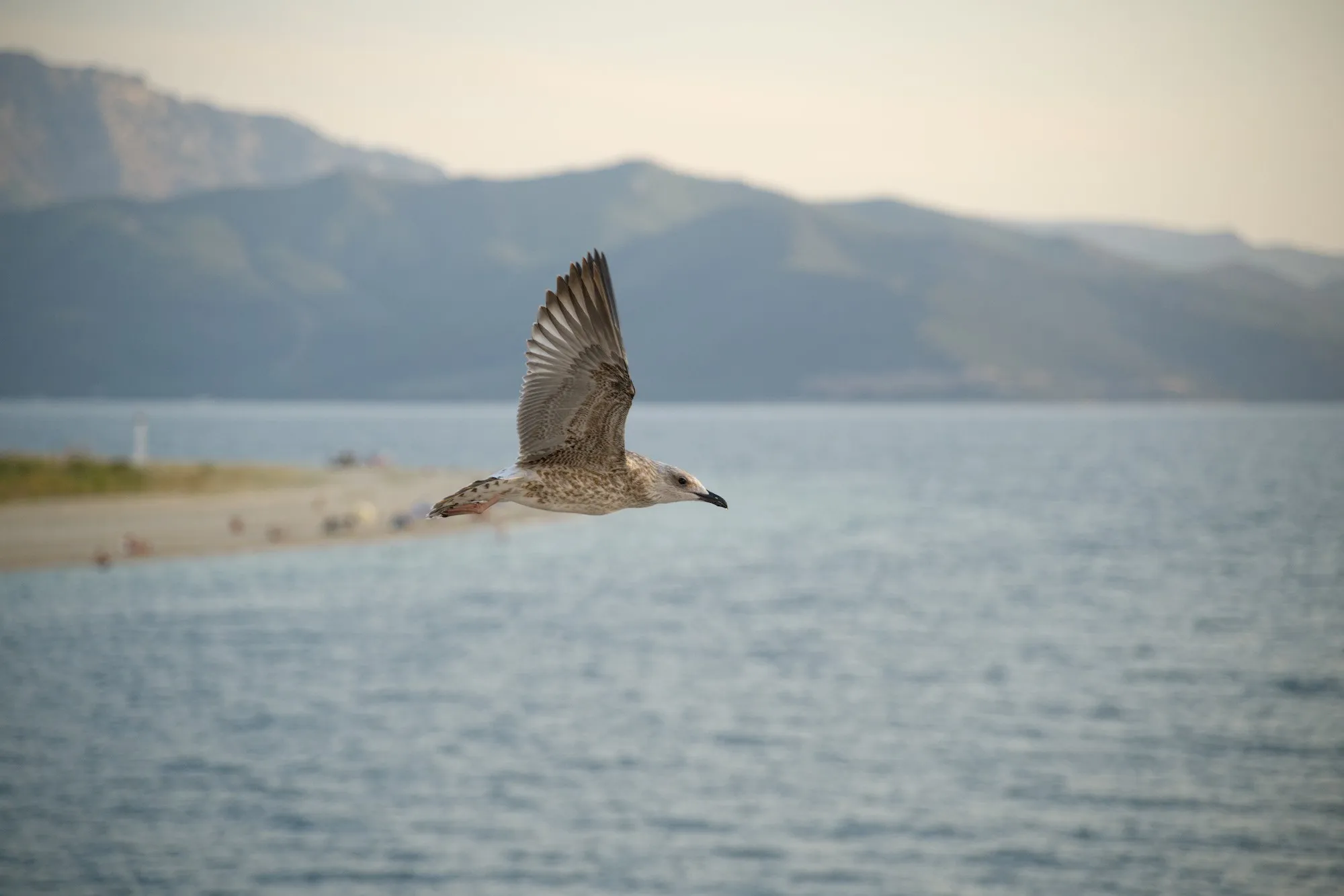 Trip to Thasos