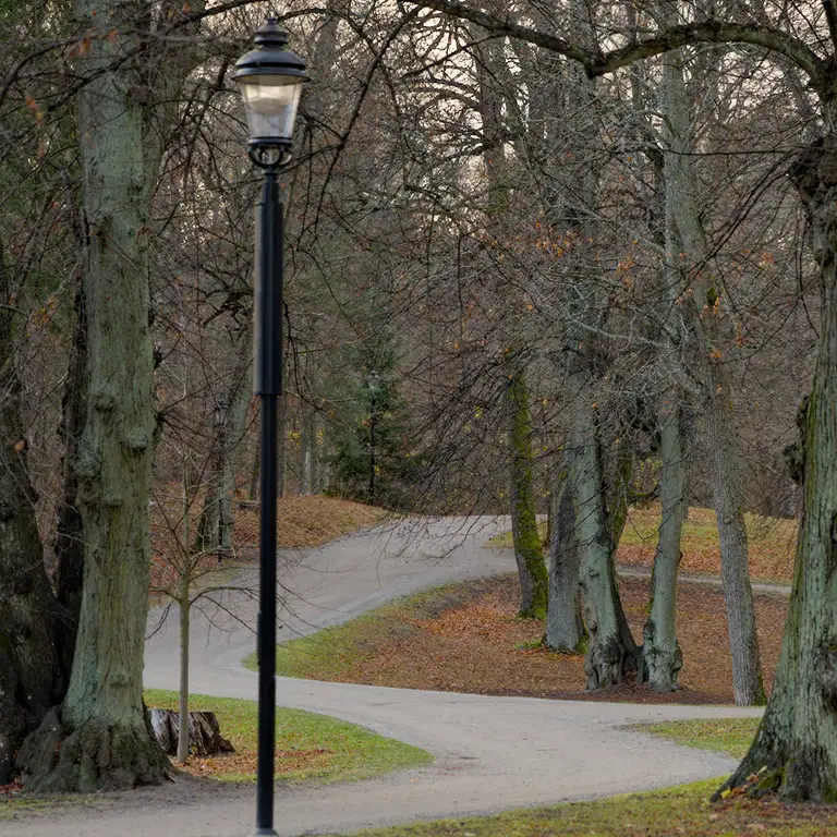 Afternoon walk in Hagaparken