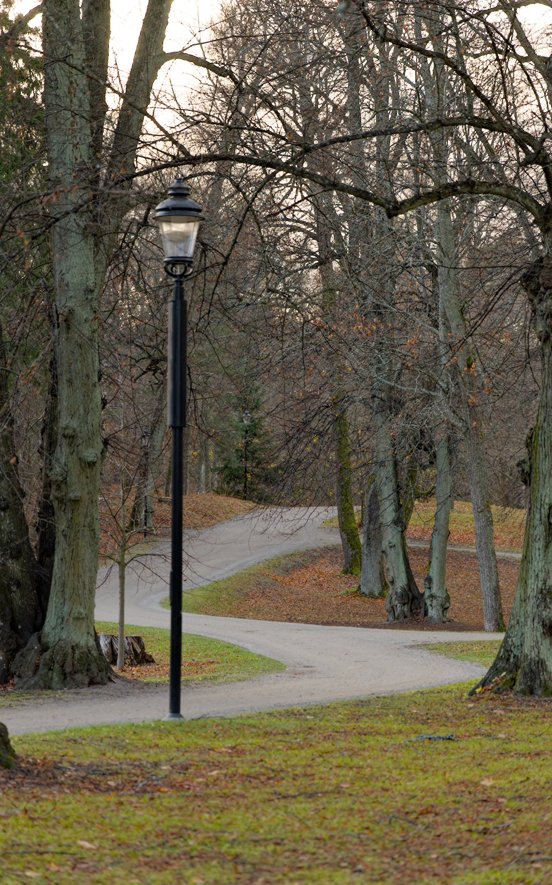 Afternoon walk in Hagaparken