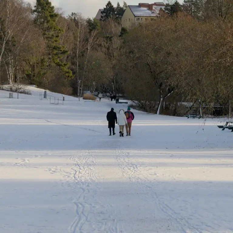 Snow in Sundbyberg