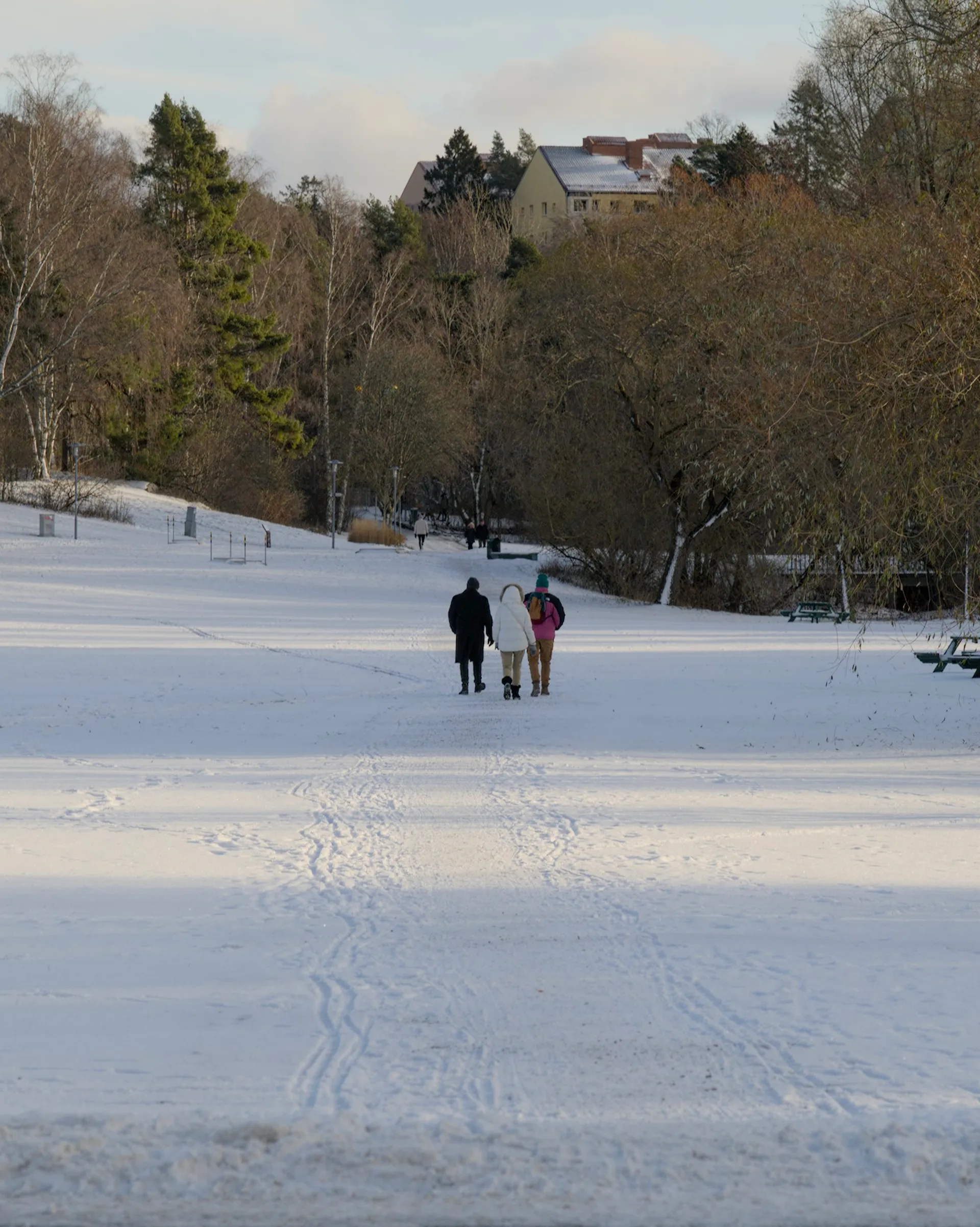 Snow in Sundbyberg