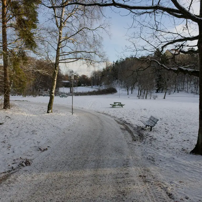 Snow in Sundbyberg