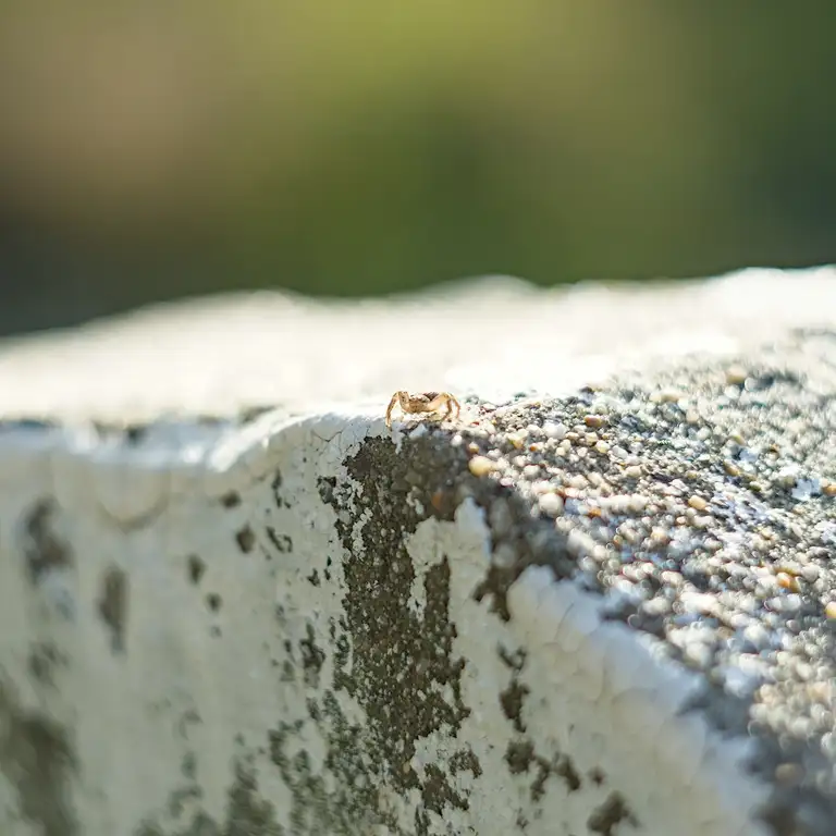 Nature photos near Szikszóstó