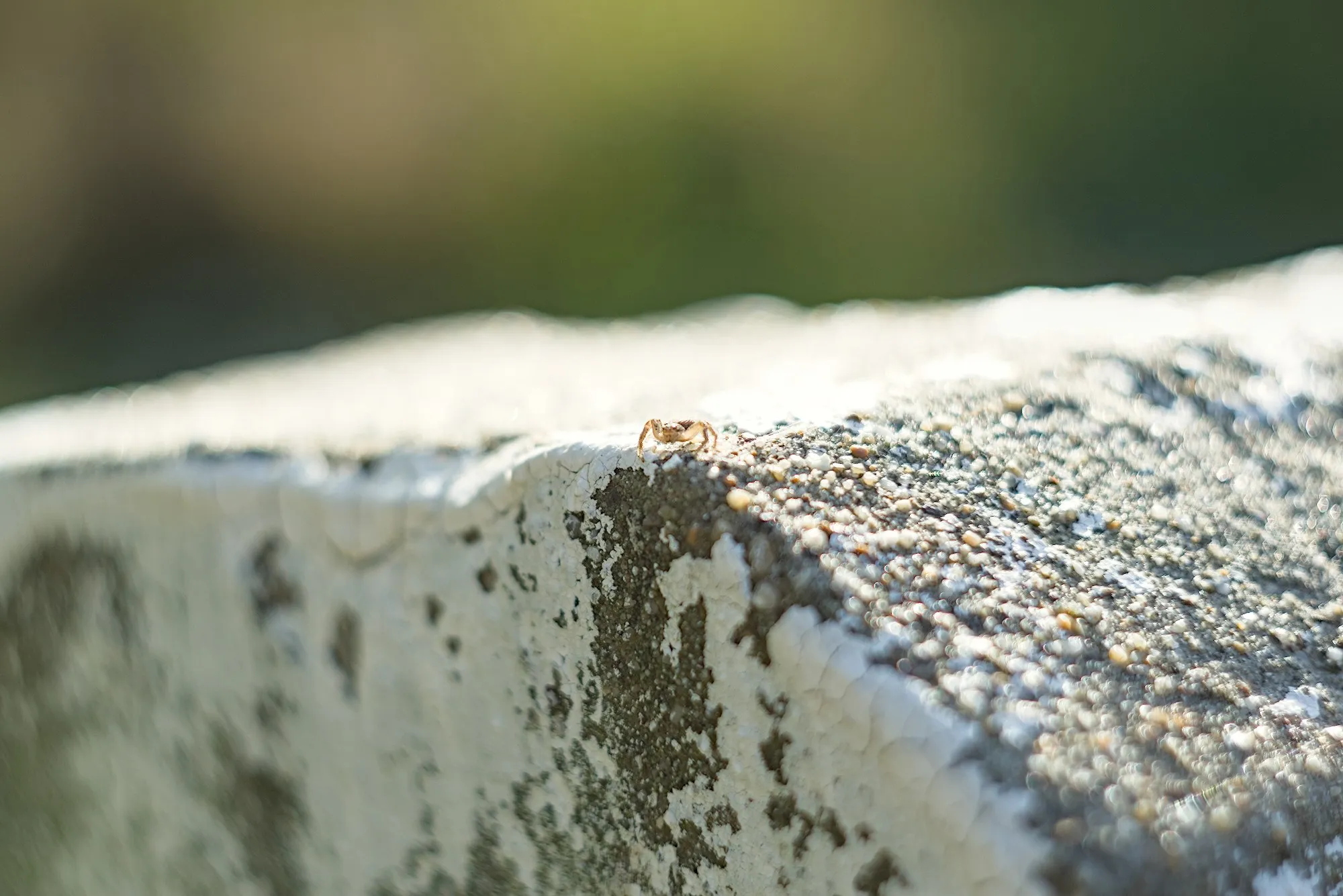 Nature photos near Szikszóstó