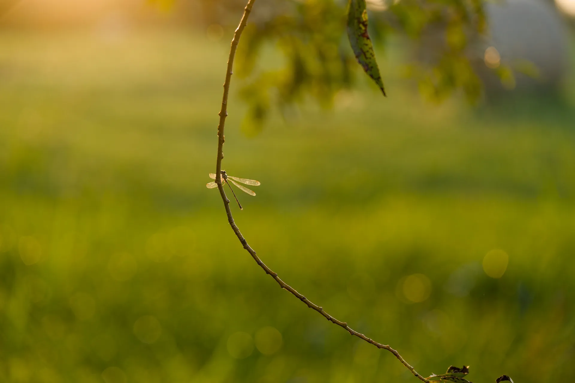 Sundown photos in Sziksós