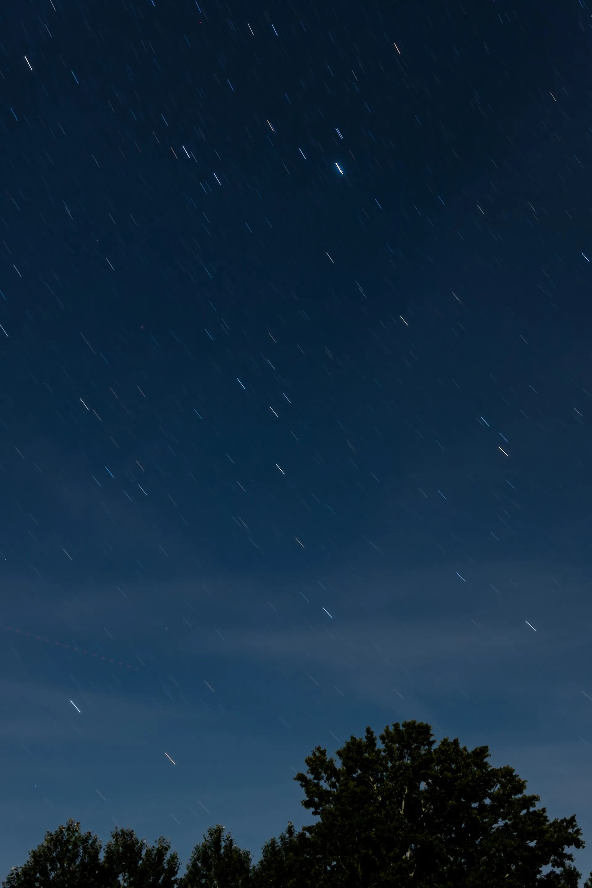 Star trails in August