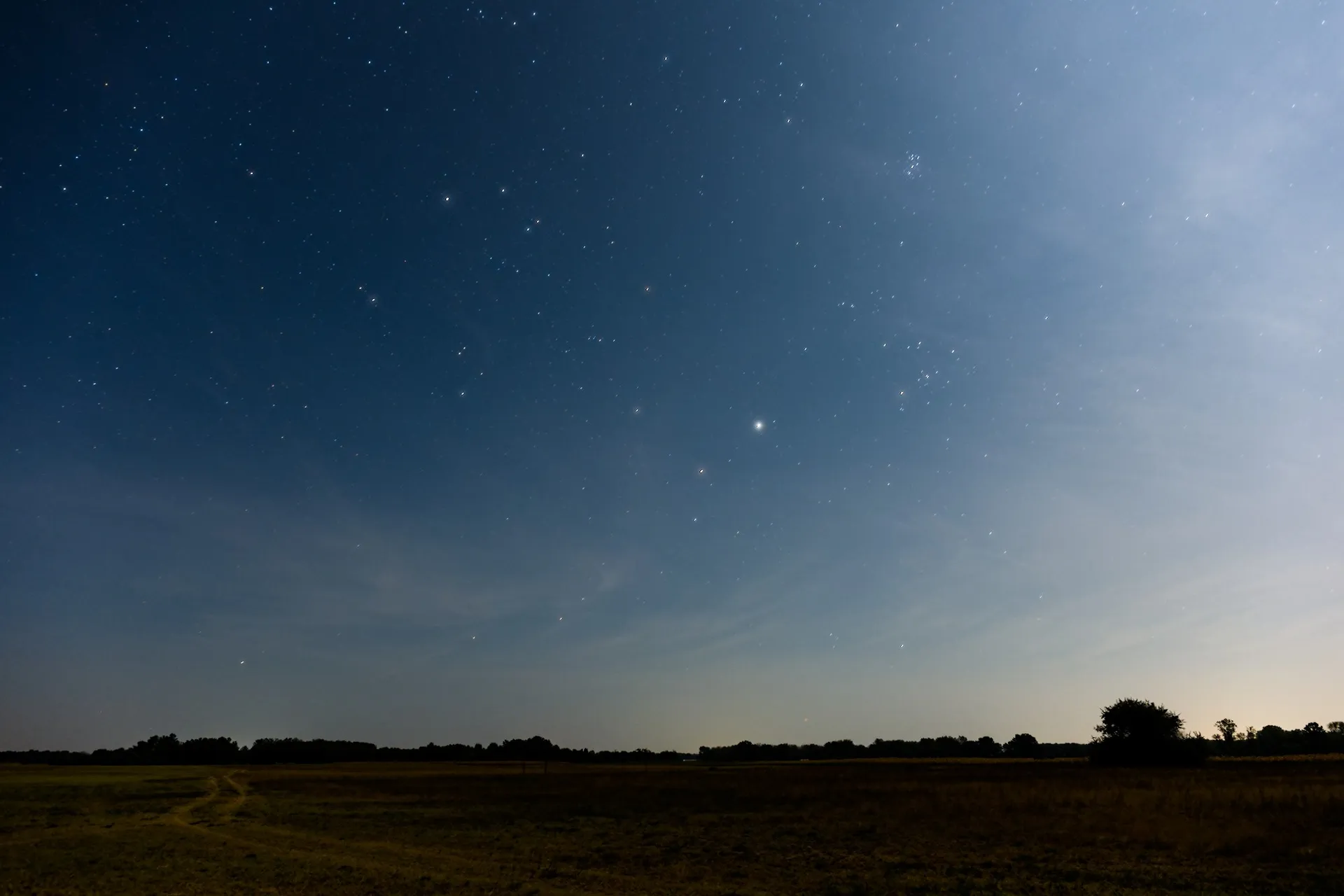 Star trails in August