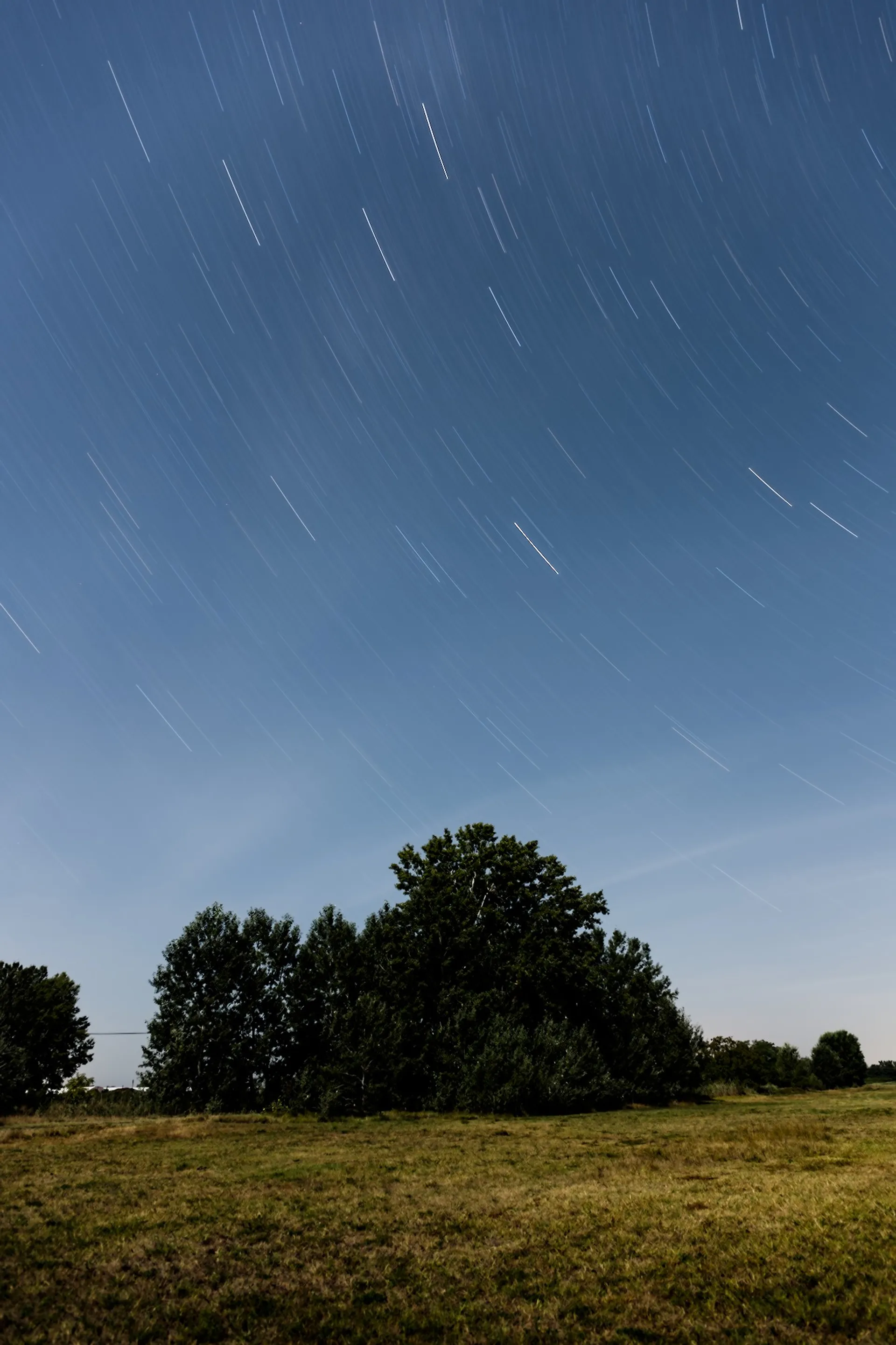 Star trails in August